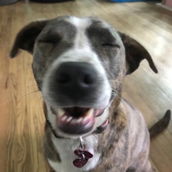 Meet your Posher, Belinda - Picture 2 of 6